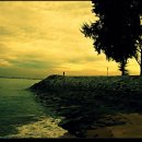 푸른감(푸른感) 이미지