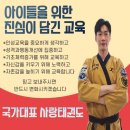 국가대표 어울림 태권도 이미지