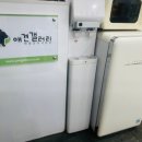 애견갤러리 강아지분양 애견샵 이미지