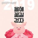 새 달력 / 전세연 이미지