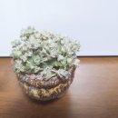 은설농장 이미지