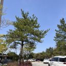 카페산바다 | 속초 바다뷰, 산뷰 카페 스타벅스 영랑호리조트점 전망대 후기