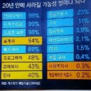 파인슐레수성 네이버블로그