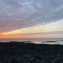 서쪽아이 이미지