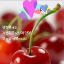 박달재농원 이미지