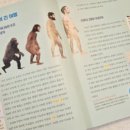 쏙쏙 이해되는 세계사 이미지