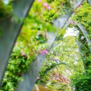 나무그늘파크(park) 이미지