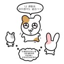 카오카오 이미지