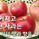 이철규사과 이미지