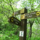 김삿갓면-18 이미지