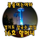 계산삼거리(북동) | 늦은 저녁 가볍게 다녀온 경기도 티라이트 휴게소 &amp; 원조 16호 할머니 칼국수 맛집 후기!