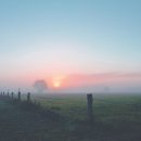 비금정고운정 이미지