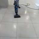 솔솔애견유치원 이미지