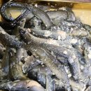 황금복추어탕 이미지