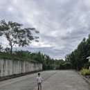 강아지가정부 이미지