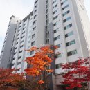 꿈그린부동산중개 이미지