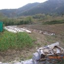 사곡농장 이미지