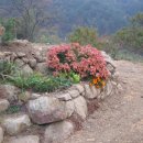 산새농원 이미지