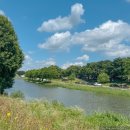 남양천변 L 이미지