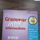 Grammar in use Intermediate(2012) 한국어판 / EGOIST 가방 이미지