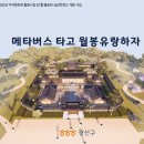 월봉 이미지
