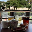 마닐마닐 | 전주 한옥마을 카페 | 전통 차와 초콜릿이 맛있는 경기전 뷰 테라스 감성카페 마닐마닐