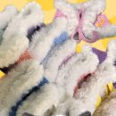 리본반려견 유치원 이미지