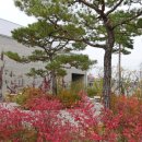 승봉농장 | 시몬스 테라스 파머스 마켓, 힐링 제대로야~