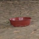 대야민박 이미지