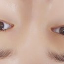 닿음아이래쉬