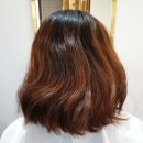 더 벨르(The Belle)