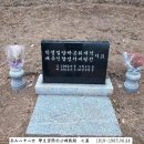 주소 : 경상북도 고령군 다산면 곽촌리 산 14번지 (목골저수지 위) 이미지