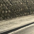 주식회사 선우쇼핑 현풍점 | 1월 (1)