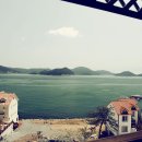 까치와 산토리나 이미지