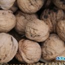 호두나무 이미지