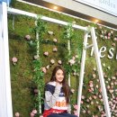 프레쉬가든 이미지