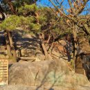 배워서떠나자 스페인어(초급) | 2024년 12월 둘째 주 기록(12.09~12.15)