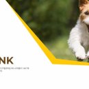 (주)파노스 이미지