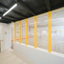 플러스 애견미용실 이미지