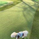 홀인원펜션2