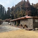 돈내코 | 제주 서귀포 카페 ｜ 숲속 정원이 예쁜 돈내코숲카페 후기