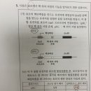 효모 핵위치서열 이미지