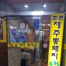 조코제주똥돼지 이미지