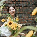 스튜디오슐리 이미지