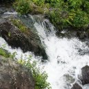 동성횟집 이미지