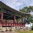 양화 이민도 묘 이미지