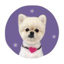 하얀이언니네 이미지