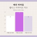 바나하임 | 태안 파파홈, 1일 1팀만 받는 프라이빗 럭셔리 글램핑 후기