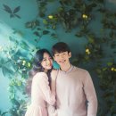 팜울림 네이버블로그