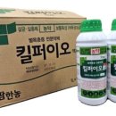 영림벌목